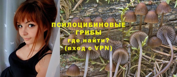 стафф Вязники