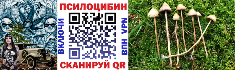 дарнет шоп Псков Галлюциногенные грибы Psilocybine cubensis